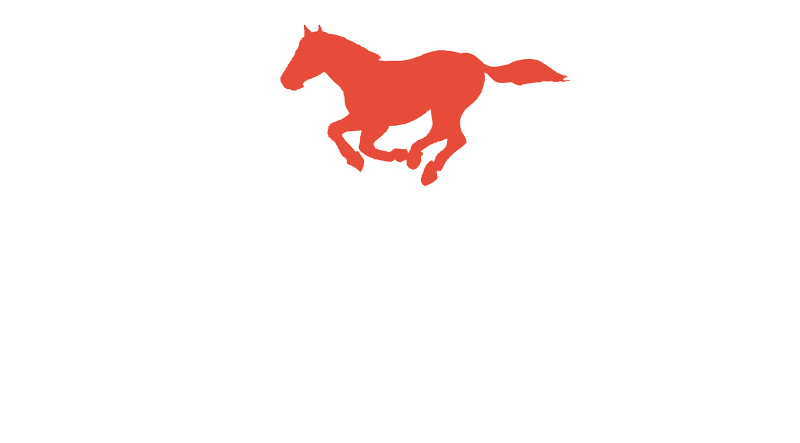Logotipo blanco de Transportes Irazabal