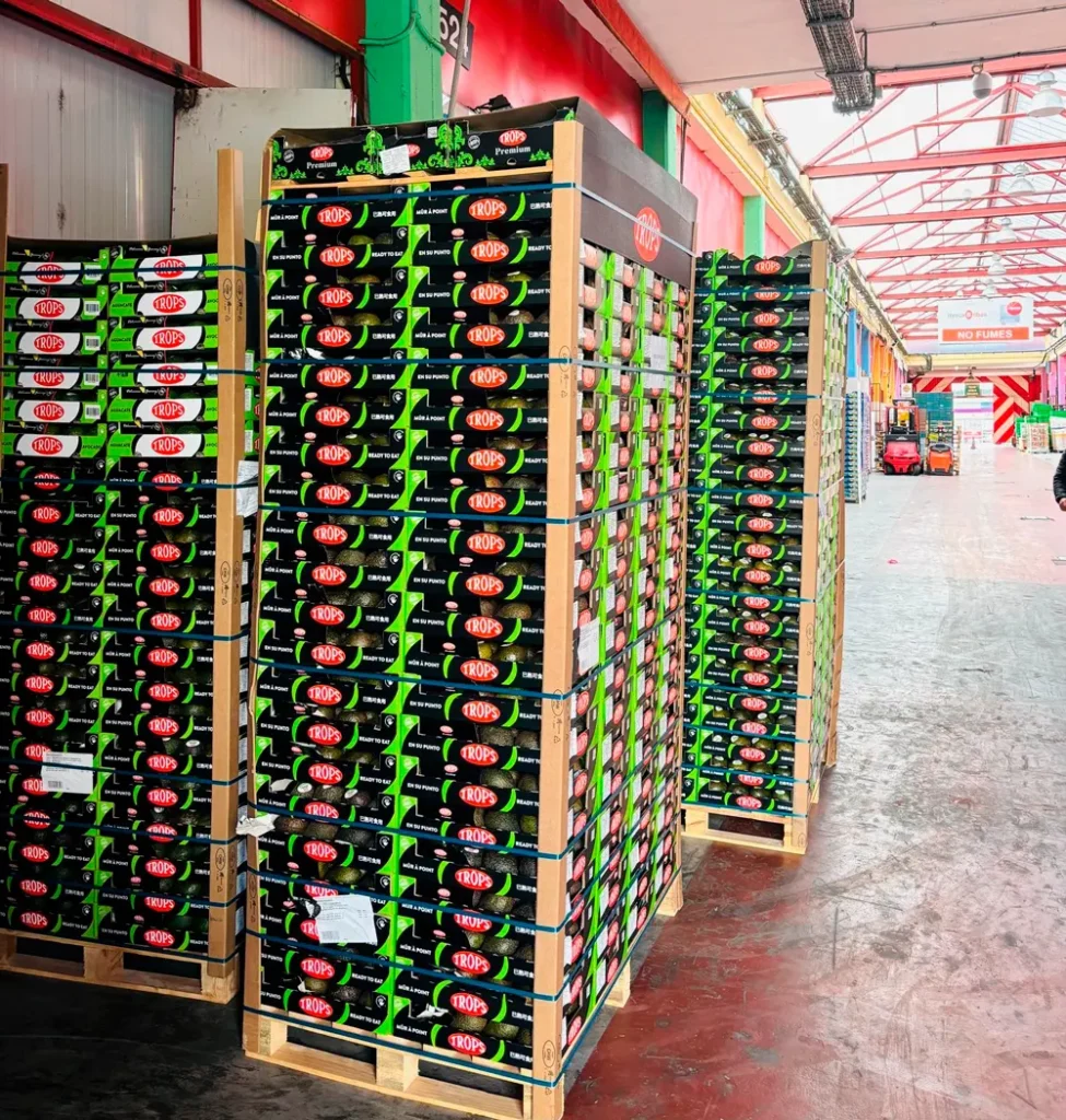 Transporte de frutas y verduras